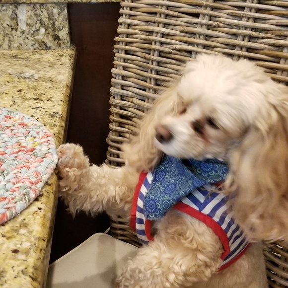 Meet your Posher, Kaye - Picture 3 of 6